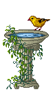 Birdbath